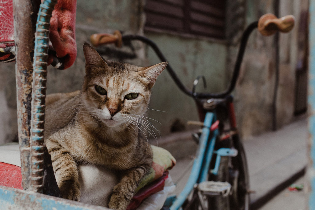 Cuba portraits by Jhankarlo Lifestyle Photography