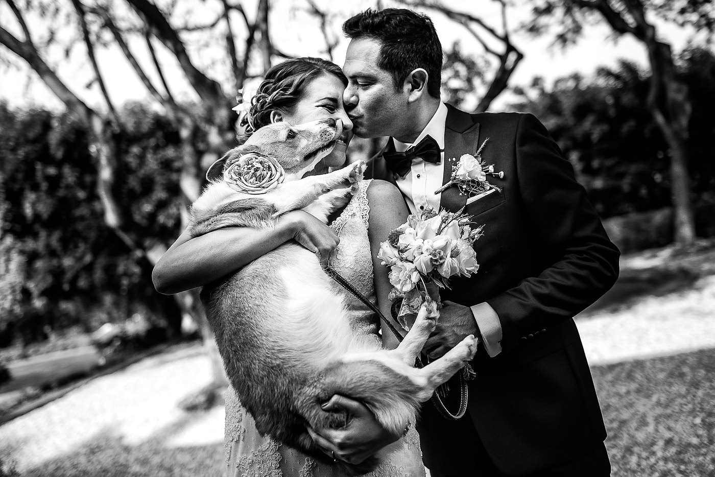 Bride and groom portraits with dog in Mexico by Jhankarlo Wedding Photography